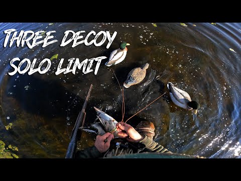 Three Decoys Solo Hunt - Beau Hunting