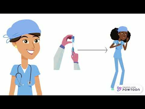 2 infográfico Brucelose part 1