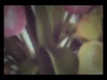 Best Oromo Music Mohamad Shekaa