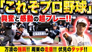 [分享] 万波雷射肩