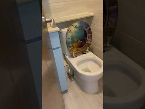 Sung Shun House  Youtube Video