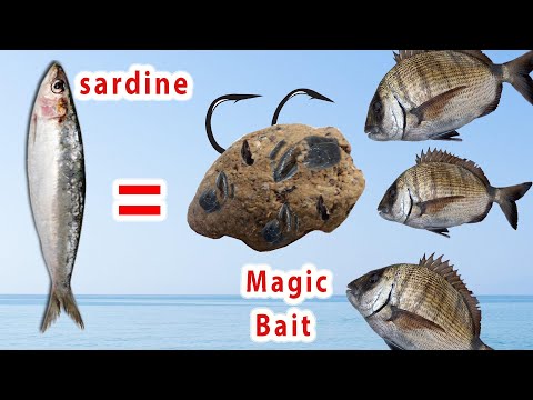 How to make the magic dough. To catch all fish (under $0.1) with sardines