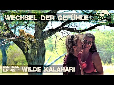 #42 -  SPANNENDE Tracks vs ATEMBERAUBENDE Tierwelt | Kalahari – Mabuasehube - Expeditionsmobil.