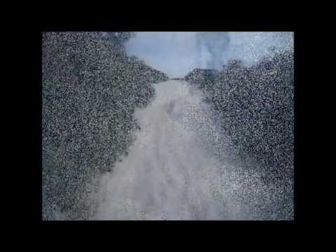 METODOLOGIA IDIOMAS CAMPECHE CURSO DE INGLÊS