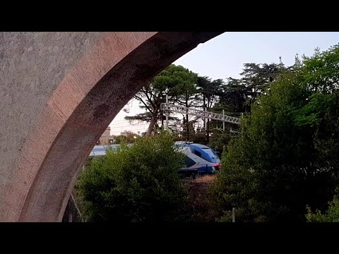 Minuetto Elettrico - Regionale in transito nei pressi dell'acquedotto Felice - Roma Mandrione