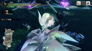 [MHR ] DEMO怨虎龍 終於過了 一點心得