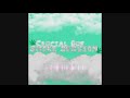 Crucial Que - Smoke Session