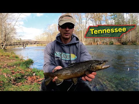 Tennessee Fishing License For Seniors and Similar Products