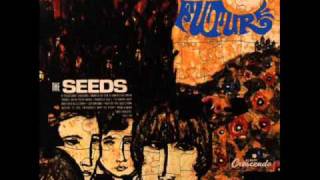 THE SEEDS two fingers pointed at you 1967