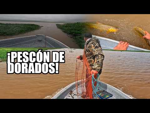 NOS CANSAMOS DE PESCAR, hermoso dia de lluvia recorriendo las islas de Monje @AlexisNahuelAlmada 