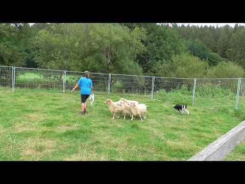 Tender Teaser of Silent Storm