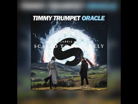 Timmy Trumpet Oracle vs Martin Garrix & dua lipa - scared to be lonely