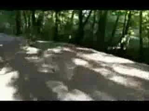 Himmelfahrtslauf Glinde