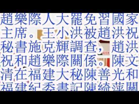赵乐际人大罢免习国家主席。王小洪被赵洪祝秘书施克辉调查，赵洪祝和赵乐际的关系。陈文清在福建的大秘陈善光和福建省纪委书记陈绮萍的关系。