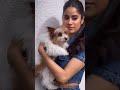 Bollywood Hot Actress Bikini Vertical Edit Bollywood Actress Hot Compilation