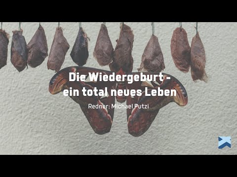 Die Wiedergeburt - ein total neues Leben