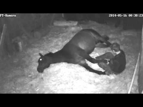 Das kann nicht während des Bandscheibenbruches gegessen werden Gelenkersatz der Hüfte in Krasnoyarsk auf eine Quote