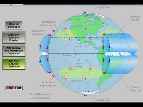Global Winds Animation Basic
