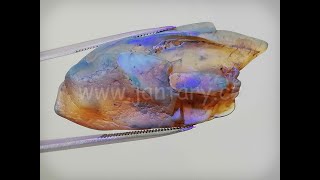 Baltský jantar P-4
