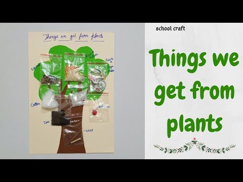 download lagu mp3 mp4 10 Things We Get From Trees, download lagu 10 Things We Get From Trees gratis, unduh video klip 10 Things We Get From Trees