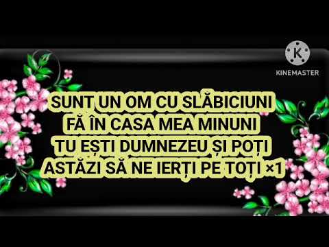 Negativ - Aleluia osana 2025 ( Corina Moldovan )