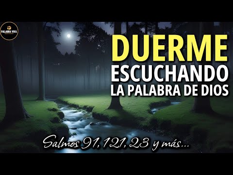 Poderosos Salmos y versículos Bíblicos para Dormir y tener paz | Biblia Hablada | 3 hr |