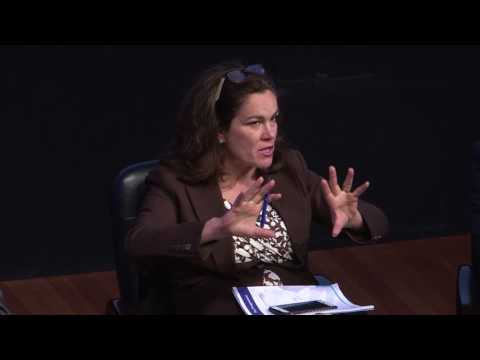 Country Risk Conference 2017 Roundtable Two