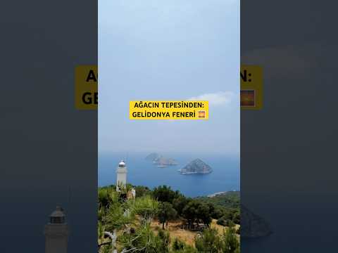 Discover Gelidonya Lighthouse from the top of the tree 😳 #gelidonyafeneri #antalya
