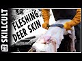 Fleshing Deer Hides for Tanning or Drying, Natural Leather Tanning