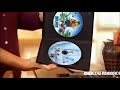 Opening To Toy Story 2010 DVD