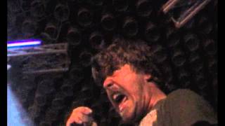 8   Horse The Band   New York City