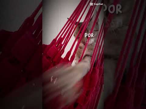 Vídeo de Zayon 