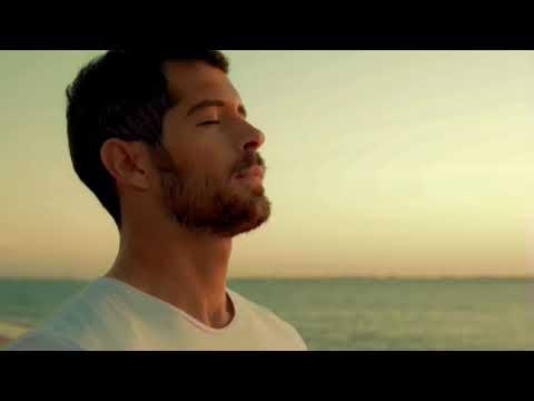 Bee Gees- The only love (magyar fordítás ) Az egyetlen szerelem