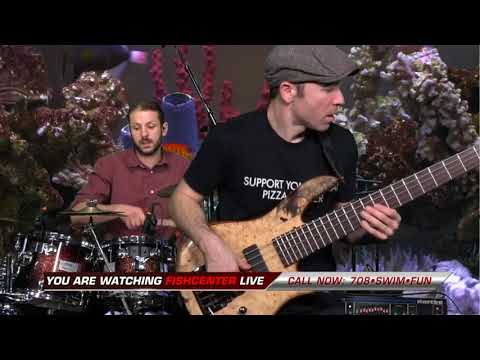 Consider the Source - The Great Circuiting (Fishcenter 2018)