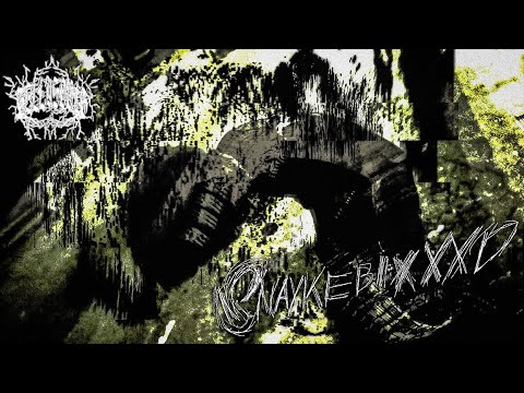 sellasouls - ☆SNAYKEBLXXXD☆|||252|||631||| (official mv)