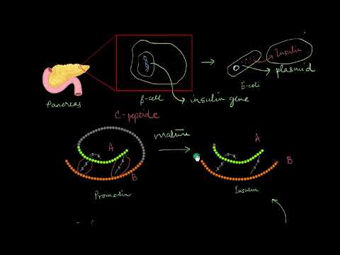 Human insulin 100iu injection, 100 iu/ml