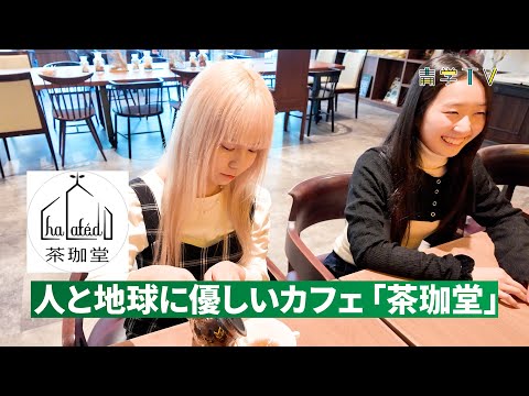 史学科 青学レストラン「茶珈堂」