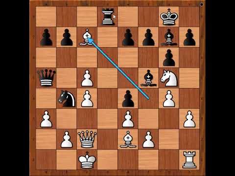 Šah kao najbolja misaona igra pruža neverovatne mogućnosti ☆  KARNER vs ROZHDESTVENSKY # 1876