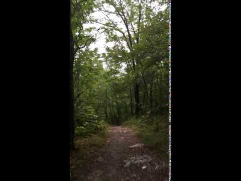 Bring your walking/hiking shoes