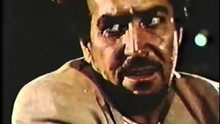 Cortos de la pelicula EL DERECHO DE COMER CON LISSETTE Y FINDINGO