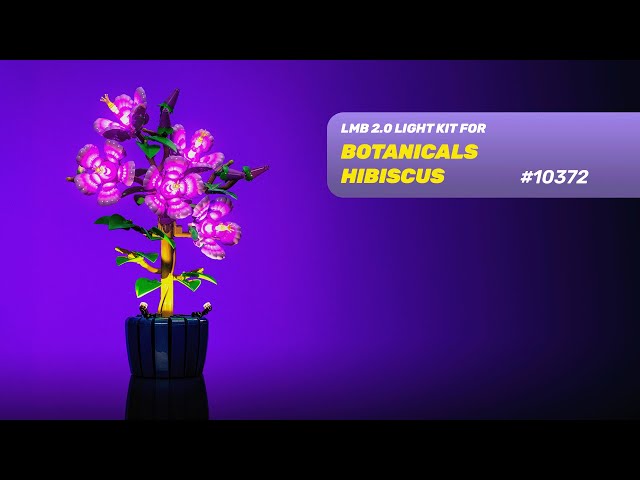 Video teaser for LIGHT MY BRICKS - Botanicals Hibiscus 10372