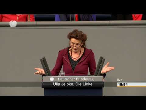 Ulla Jelpke: Änderung des Bundesstatistikgesetzes [Bundestag 25.02.2016]