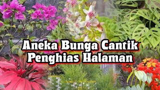 Download lagu ANEKA BUNGA CANTIK PENGHIAS HALAMAN #bunga #bungataman #bungahias #bungahiasan #feedshorts mp3