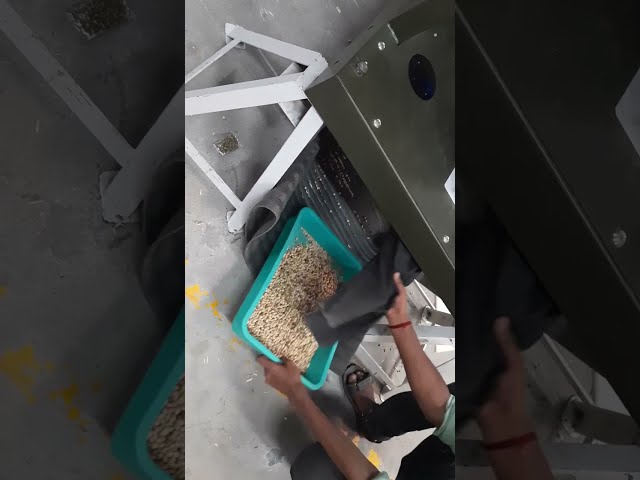 Pulses Color Sorting Machine - Dal Sorting Machine T20 - 1 Chute ...