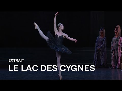 [EXTRAIT] LE LAC DES CYGNES - Variation du cygne noir (Valentine Colasante)