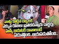 Rahmath Nagar Dog Owner Latest News | Rahmath Nagar Latest news | SumanTV Telugu