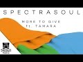 SpectraSoul Ft. Tamara - More To Give 