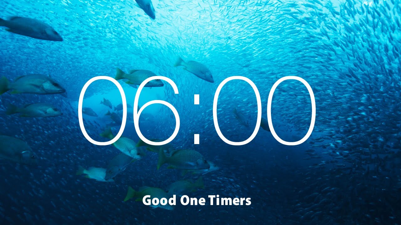 6 Minute Countdown Timer with Relaxing Music | 4K | Alarm | Brilliant school of fish