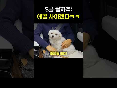 S클래스 오너가 같은 가격 에스컬레이드를 타보고 느낀 차이점