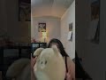 Baby Giuli Vlog 3